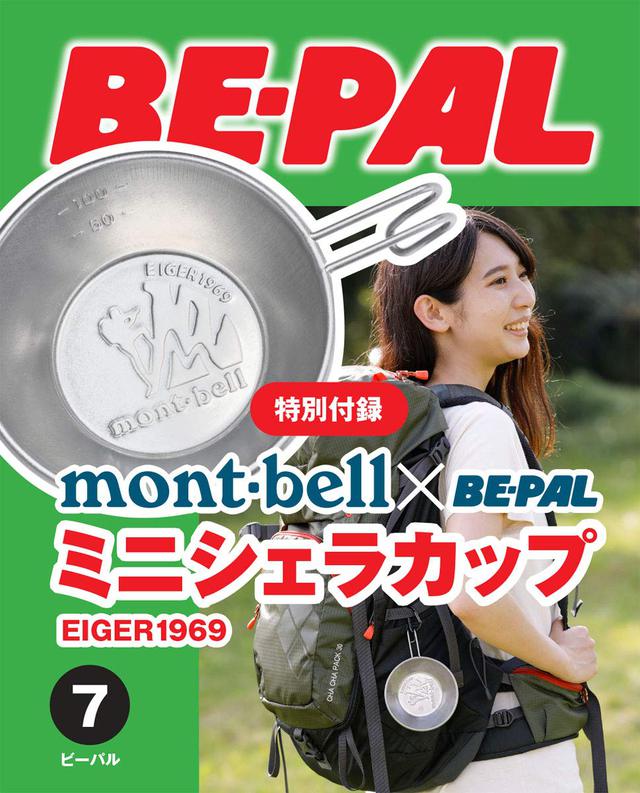 BE-PAL(ビ-パル) 2019年 07 月号