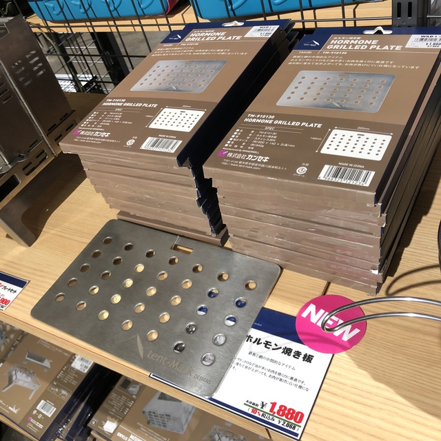 【偵察】WILD-1 ワイルドワン　その1