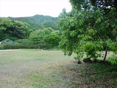 「ネタ無し芳一」にも慣れてきました、聞く耳なし(^^♪