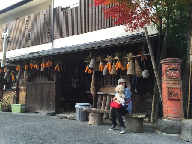 熊本・阿蘇神社参拝！