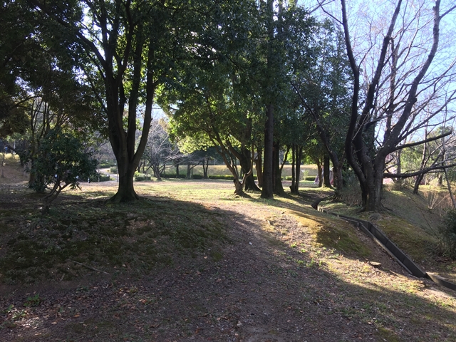 今年最後のキャンプ in 大曽公園キャンプ場