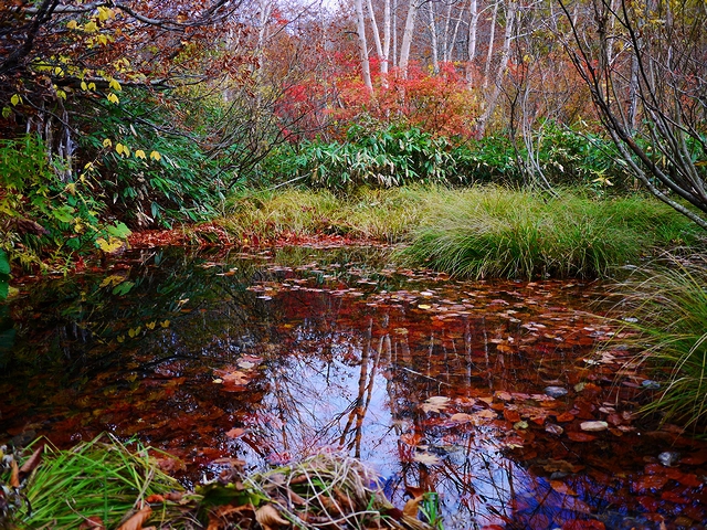 ソロ野営　紅葉と温泉　１