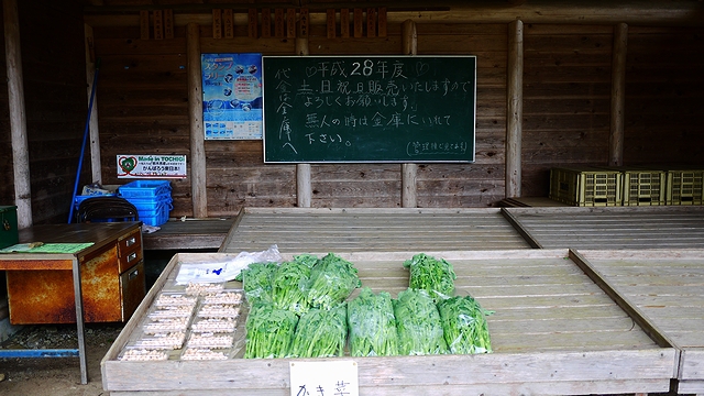 ソロキャンプと里山ハイク