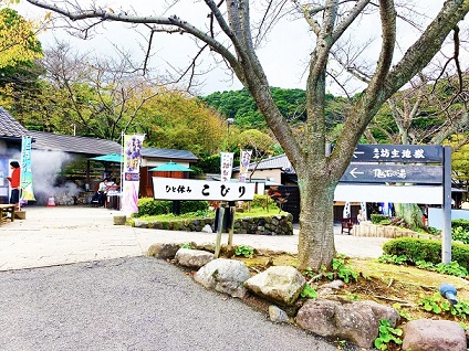 大分着！移動の疲れを別府で癒そう