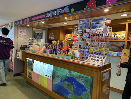 【鹿児島】ぎゅっと詰込み観光！