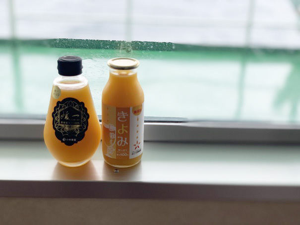 フェリー再び！徳島→大分