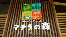 愛媛遠征　釣り以外にも楽しんできましたよヽ(・∀・)ﾉ