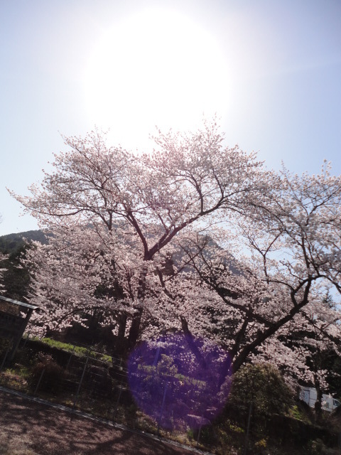 ヽ(｡・｀ω´･)ﾉ･*:..｡o○☆*ﾟ｡+ﾟGOOD　MORNING！｡+ﾟ