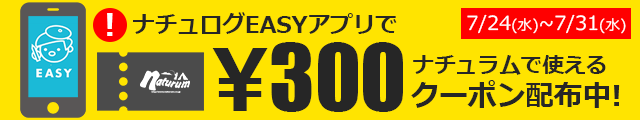アプリですぐに使える300円クーポン配布中！本日24日(水)の投稿をチェック！