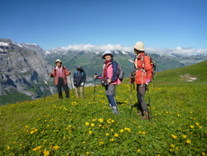 可憐な高山植物に囲まれた中をゆったりと歩けるスイストレッキング