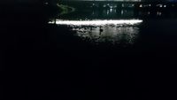 昨夜の鯰釣行報告