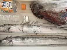本年初物！船＆陸