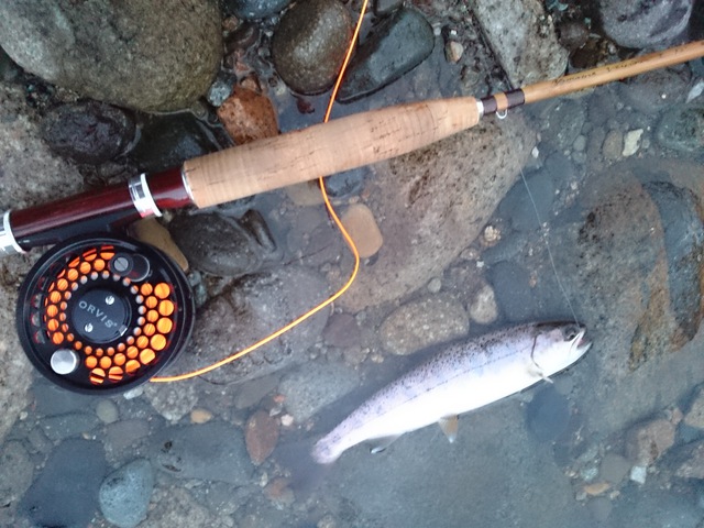 新潟発 疑似餌ライフ:Orvis Battenkill BBSⅡ