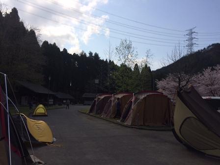 お花見キャンプ in 松田川ダムふれあい広場オートキャンプ場