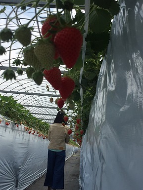 GW最終日は秩父へ