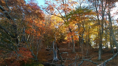 2019.11.4  中禅寺湖