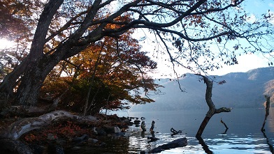 2019.11.4  中禅寺湖