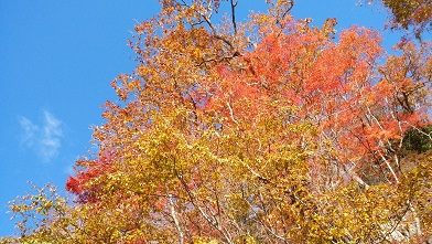 2019.11.4  中禅寺湖