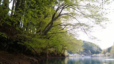 2019.5.2　四万湖