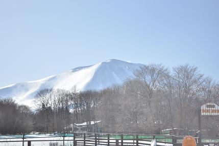 ２０１４年のキャンプ初めはスウィートグラスで