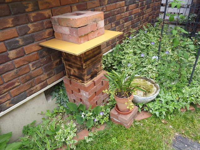 日本ミツバチの巣箱作りとキンリョウヘン
