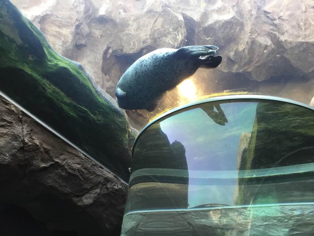 旭山動物園