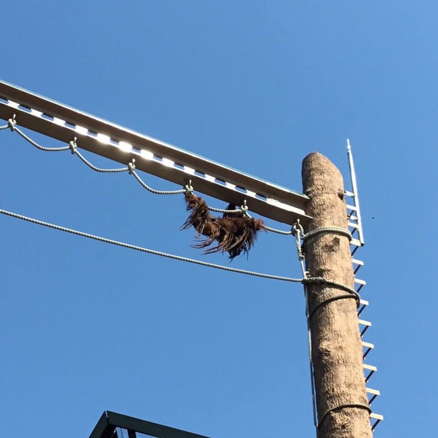 旭山動物園