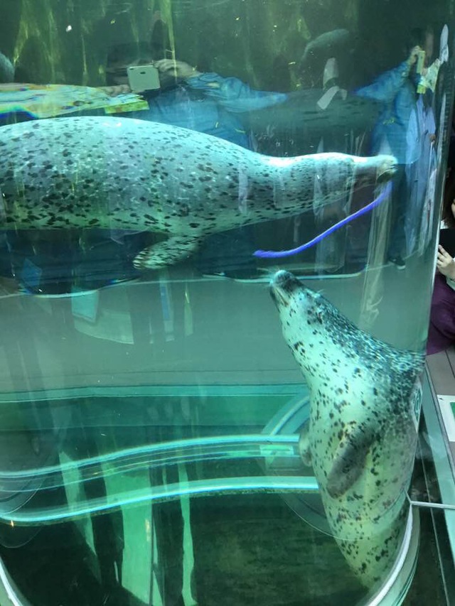 旭山動物園