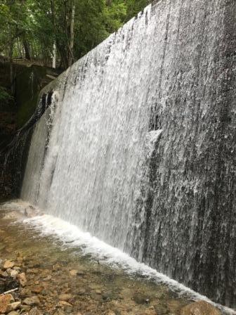 みずがき山の森の農園キャンプ場に行って来ました