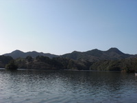 初釣り　初豊田湖