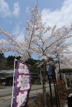 道志のニュー田代でぐるぐるぐる