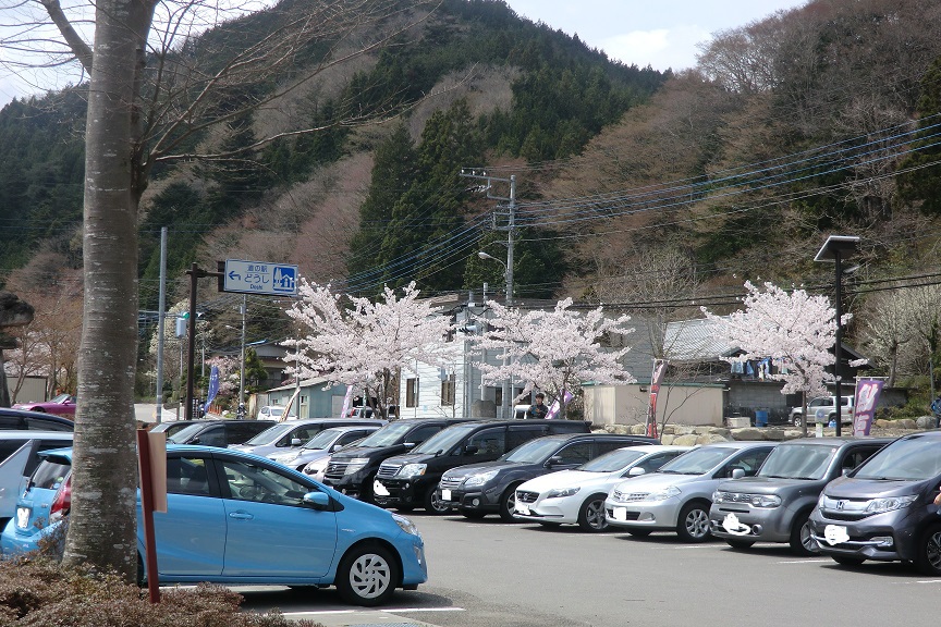 道志のニュー田代でぐるぐるぐる