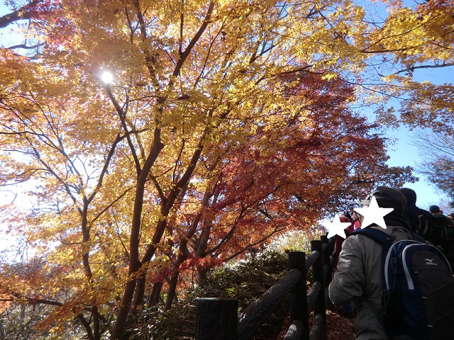 平日、秋の高尾山！