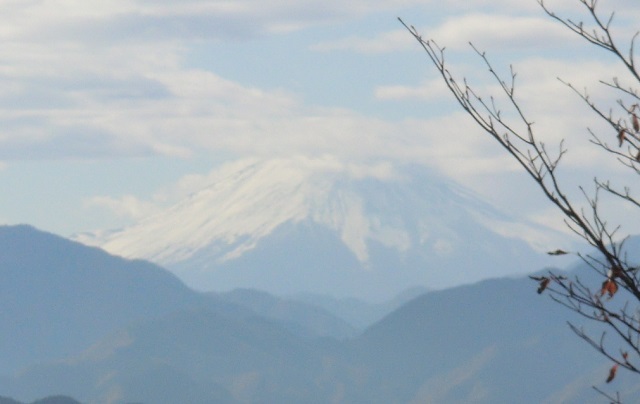 平日、秋の高尾山！