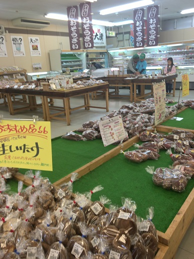 大原上布施オートキャンプ場へ行ってきました
