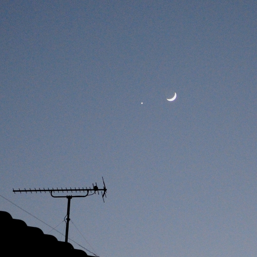 月と金星