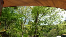 野栗キャンプ場