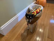Happy Halloween