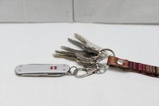 鍵と一緒に持ち歩ける小さなマルチツール VICTORINOX クラシックALOX