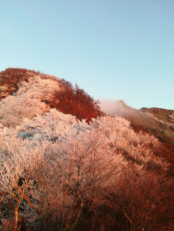 「寒風山」「笹ヶ峰」「ちち山」今シーズン初の、、、