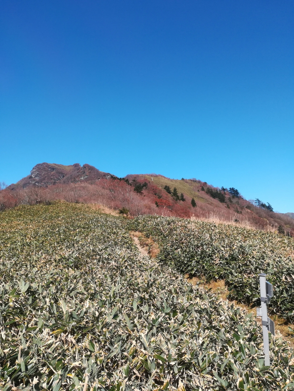 「寒風山」「笹ヶ峰」「ちち山」今シーズン初の、、、