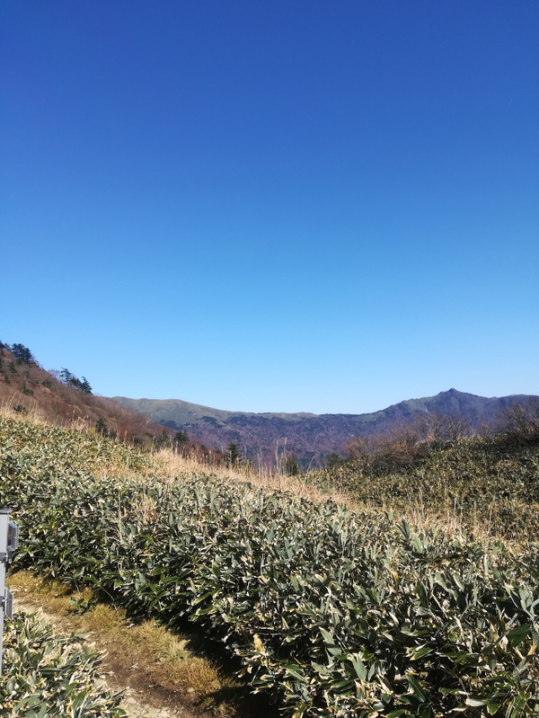 「寒風山」「笹ヶ峰」「ちち山」今シーズン初の、、、