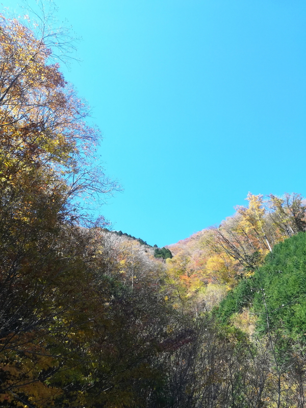 「寒風山」「笹ヶ峰」「ちち山」今シーズン初の、、、