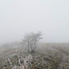 堂ヶ森、山頂は冬でした。