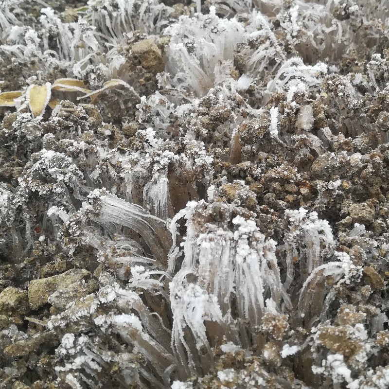 堂ヶ森、山頂は冬でした。