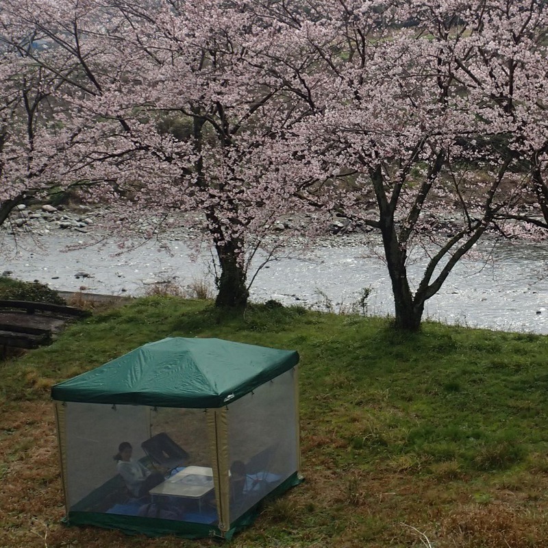 2017年の備忘録 ｟キャンプ編｠