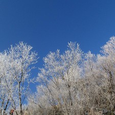 絶景！雪の石鎚山(前編)