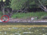 08北海道（５）−２　屈斜路湖カヤック