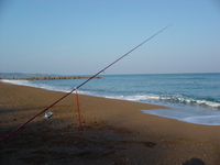 福井県波松海岸で投げ釣り　2008/10/03