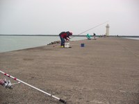 福井県福井新港で投げ釣り　2009/05/05